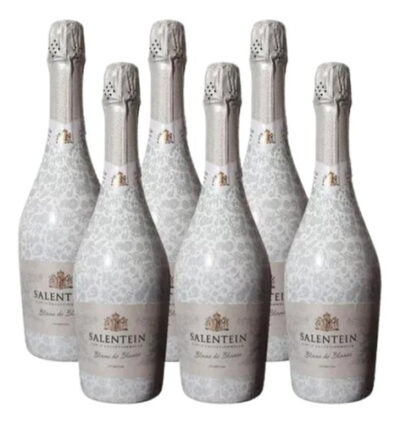 Champagne Salentein Blanc De Blancs 750ml X6