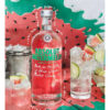 Vodka Absolut Watermelon 700 Ml - Image 3