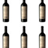Vino Gran Enemigo S.v Chacayes Cabernet Franc Pack X6