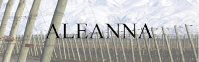 Vino Tinto Gran Enemigo Cabernet Franc Agrelo 750ml - Image 4