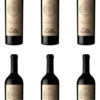 Vino Tinto Gran Enemigo Corte Blend 750ml Pack X6