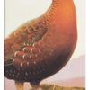 The Famous Grouse Whisky Blended Reino Unido 750ml