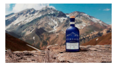 Gin Aconcagua Handcrafted London Dry 750ml - Image 3