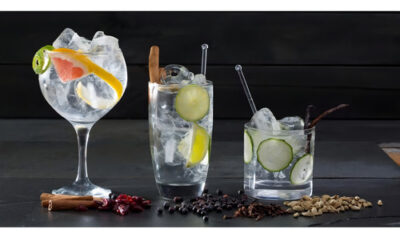 Gin Merle London Dry 750ml - Image 5