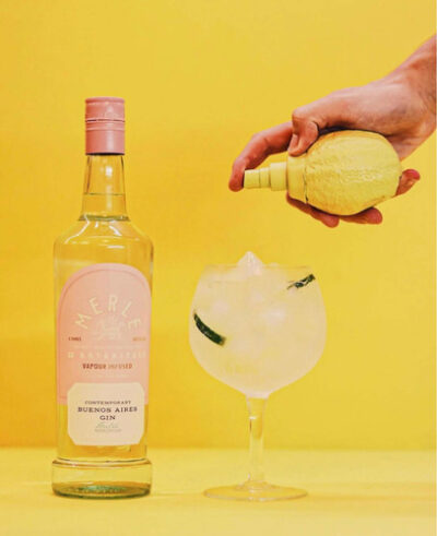 Gin Merle London Dry 750ml Premium 40% Vol 12 Botanicos - Image 3