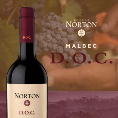 Vino Norton Tinto Malbec Doc Vegano Pack 6 Unidades - Image 4