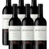 Vino Tinto Nieto Senetiner Benjamin Malbec 6 X 750ml