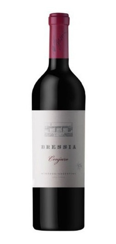 Vino Bressia Conjuro Blend Botella 750ml