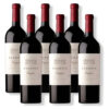 Vino Conjuro Caja X 6 Unidades - Bodega Bressia
