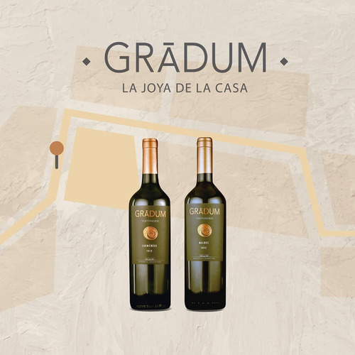 Vino Gradum Carmenere - Bodega Vistandes - Por Botella - Image 2