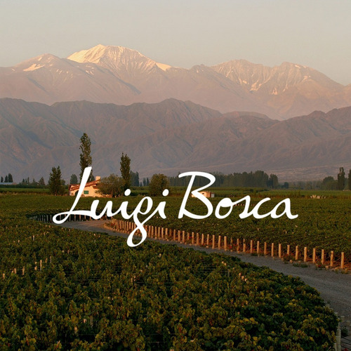 Vino Luigi Bosca Rose Rosado 750ml Bebida - Image 5