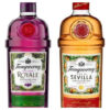 Gin Tanqueray Sevilla + Royale Dark Berry X700ml. Combo X2 Dark Berry