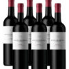 Vino Tinto Malbec Monteagrelo Varietal Bodega Bressia 750 ml Pack X 6 u