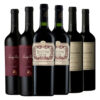 Combo Vinos Malbec X6 : Rutini+ Luigi Bosca+ Dv Catena