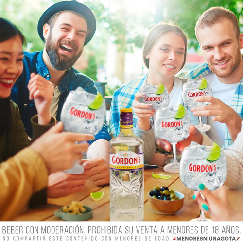 Gin Gordon's London Dry + Premium Pink - Combo X2 Frutilla - Image 4