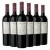 Caja X 6 Unidades Vino Coquena Tannat Yacochuya Botella 750ml.